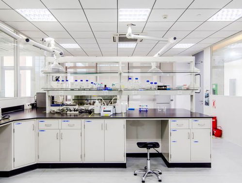 引領(lǐng)綠色未來 以開拓創(chuàng)新與專業(yè)服務(wù)，鑄就質(zhì)量至上的環(huán)保咨詢新標(biāo)桿